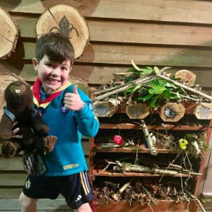 Beaver cub creating bug hotel for Lyme Green Community Park