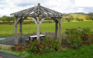 Lyme Green Community park fragrant daffodils and sensory area